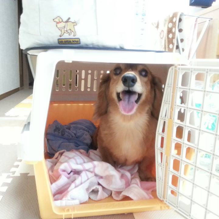 4e0d76fa 15dc 486d ba9b 6cec0d4e670b 1527775736298