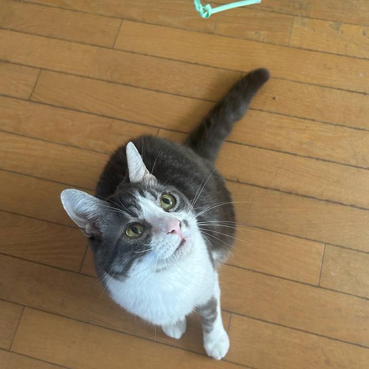 4e0d93f2 b4d2 409b a2ea 78549f2230ed 1760067817378