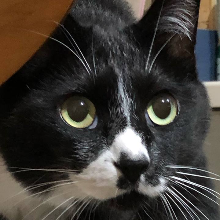 4e0dafaa 0450 43b0 995c c5fb5dfa6d1f 1590815011878