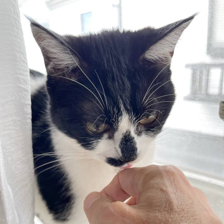 4e0e74e3 deb9 4a16 8c60 6477b2e04069 1762140669257