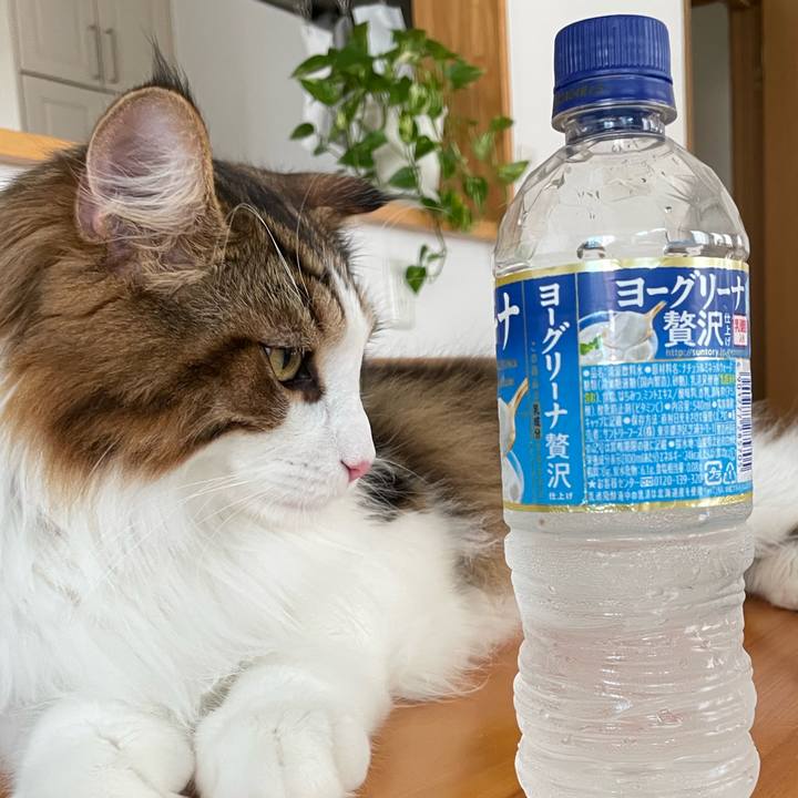 4e0e8179 2f2a 47a9 90bc c3192206b13b 1658180946470