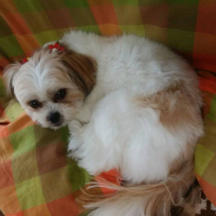 4e0ec134 492d 4adf a8c3 8c8f22aa61f4 1508632906830