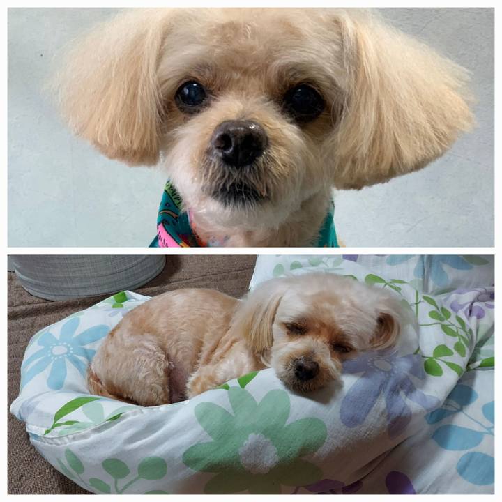 4e0eec81 e482 4221 988b e1bc0103a60d 1728549896555