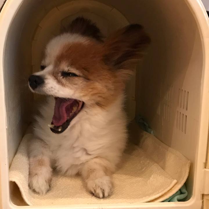 4e0f3635 2fa7 438e bc65 42c8bdcc72d8 1652395885359