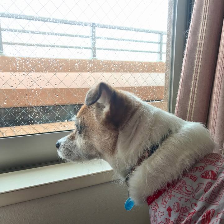 4e0f9765 a3c7 40d5 8a77 900fe576f17c 1627341304195