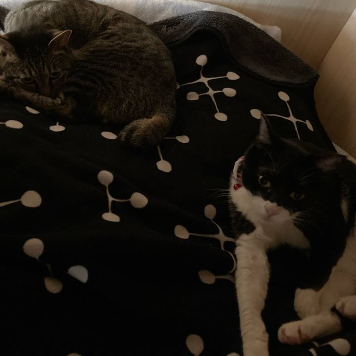 4e0fcd90 4612 4d87 8682 0c88f650b788 1617270535956