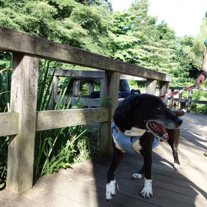 4e104b12 778c 4d8d 91dc 00bb9293acad 1752882499217