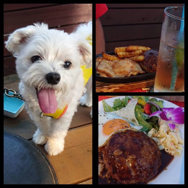 4e106691 1056 4458 9b81 8dbc80657689 1531048764824