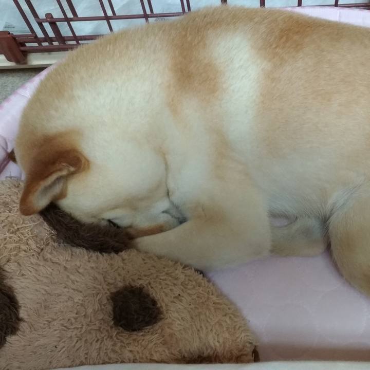 4e107dbc e913 4f2a 8369 f7c7d61d8e80 1589458343265