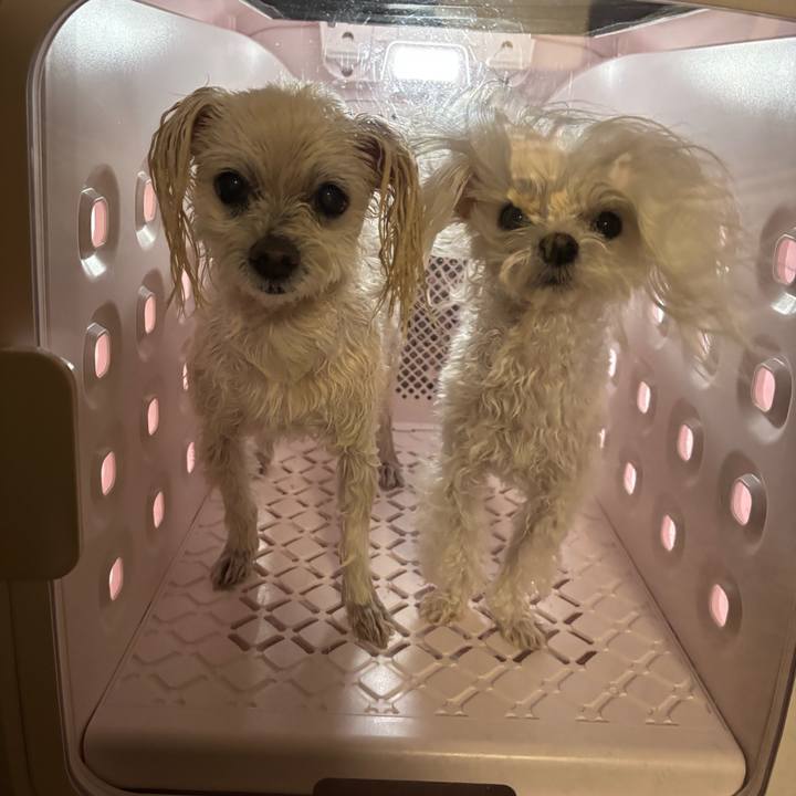 4e10815a afe3 483a 8a46 b0c735da4884 1775046539893