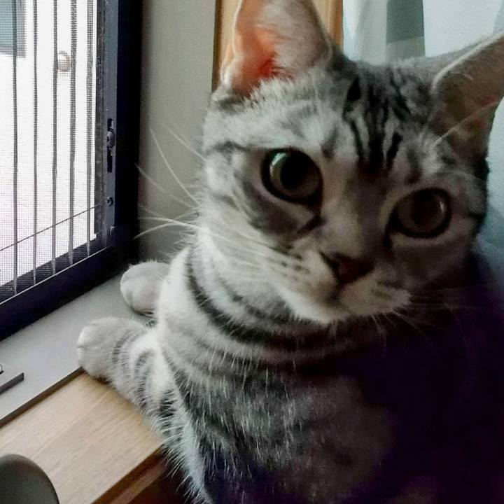 4e1085bf 06e9 42c4 8b8e 9756e03d49ea 1673742553634