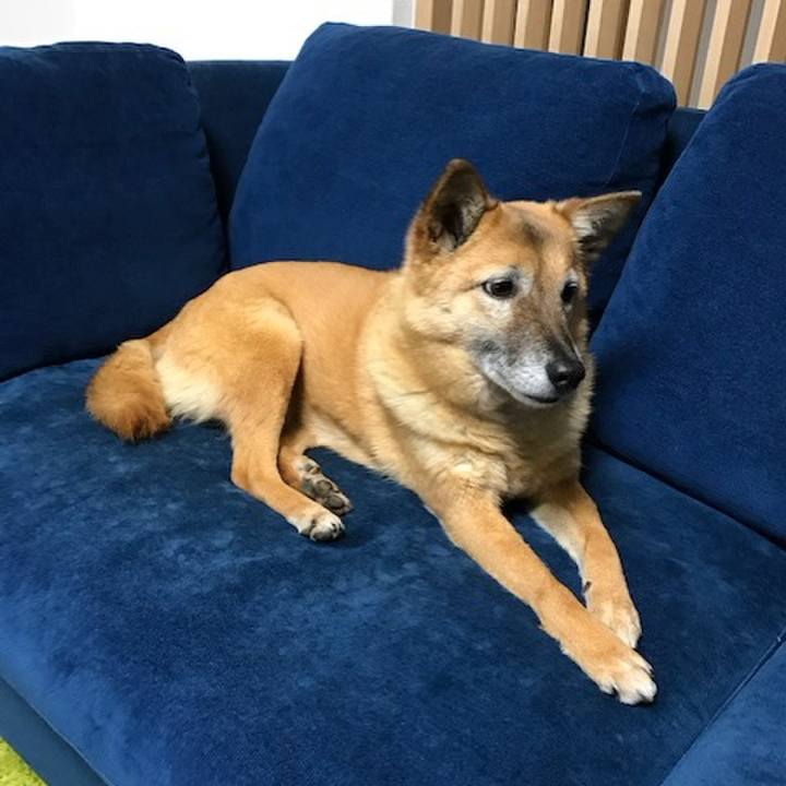 4e10bdac 576f 4d9f abfe 25993331e19e 1710383910184