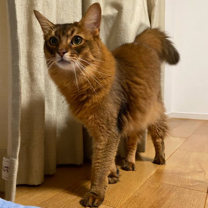 4e10f9a1 6fc3 4994 bd96 f29cfdc0567f 1663217962474