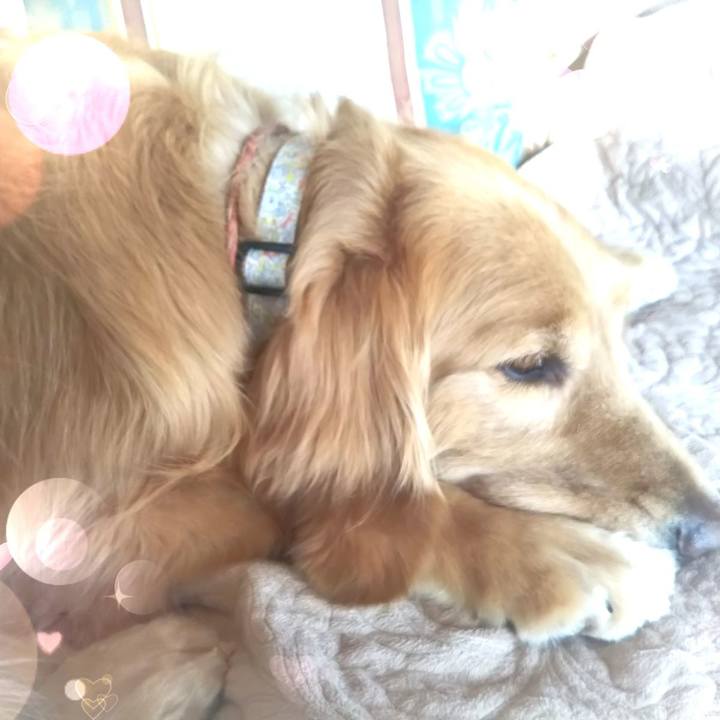 4e113e15 a74c 48c0 8d77 e355c9c18fec 1551172830969