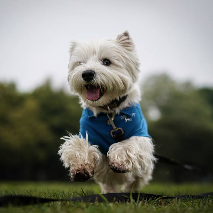 4e1159ea 3d21 441c aea0 79fa81e0dbb6 1524485586129