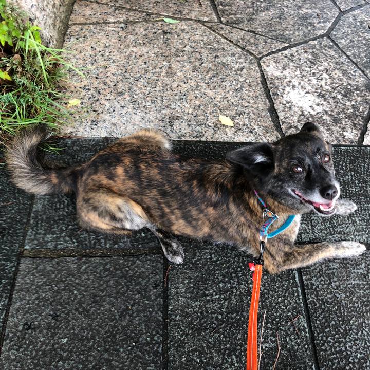 4e116765 bdfd 4f56 b204 f60d63cc126a 1563766874780