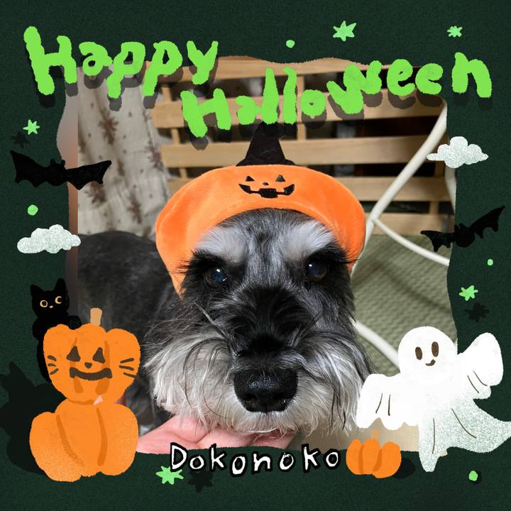 4e11eb39 360c 4f15 95fb ecf736b9cd1b 1730381750759