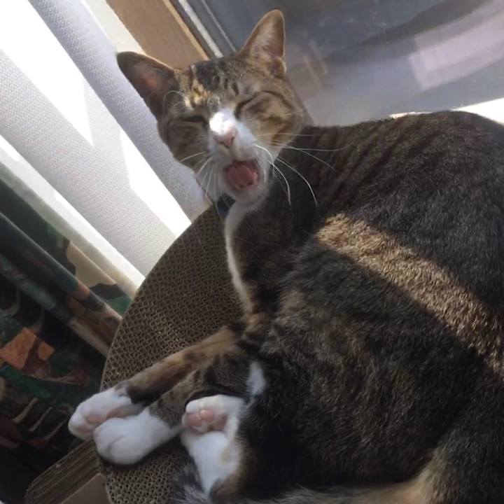 4e123eaa f856 4305 ba10 c7f71d55933c 1678429290954