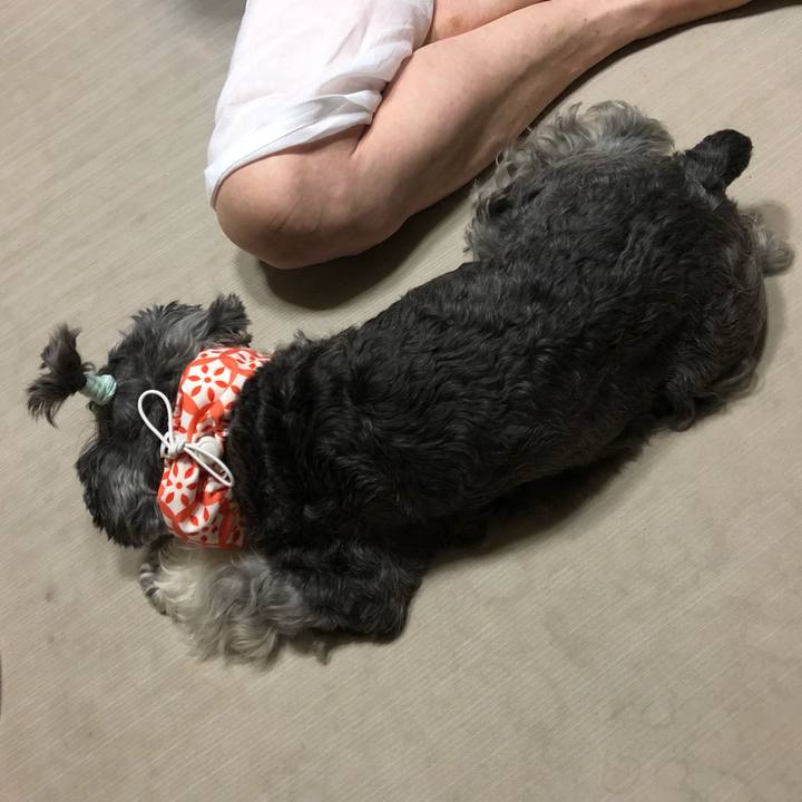 4e127857 927f 44fa 8e74 c0ccbedc643d 1660041017068