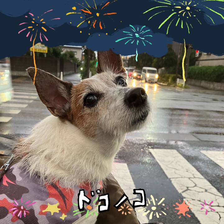 4e12ac46 1f6d 43e1 8dab 5d0d174fa329 1723503928185