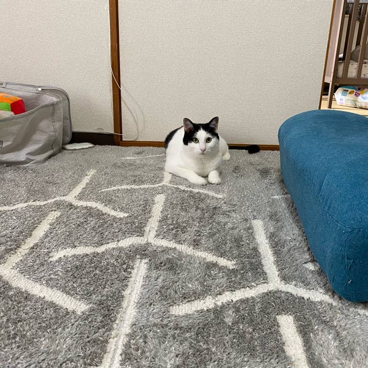 4e12bdaf dd6e 4727 a9a7 9fd983f5d84e 1601008712317