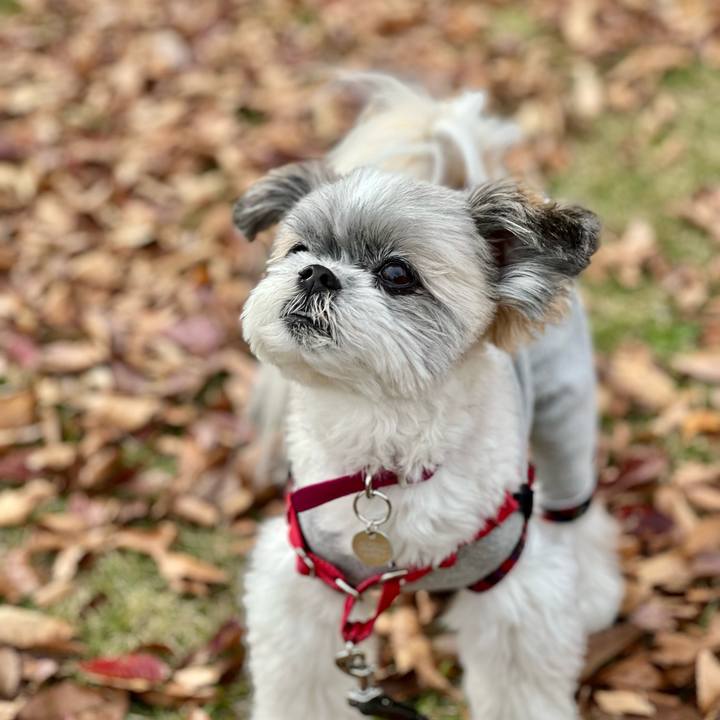 4e12d885 9706 4fd6 8289 f333e6f2c784 1637302715806