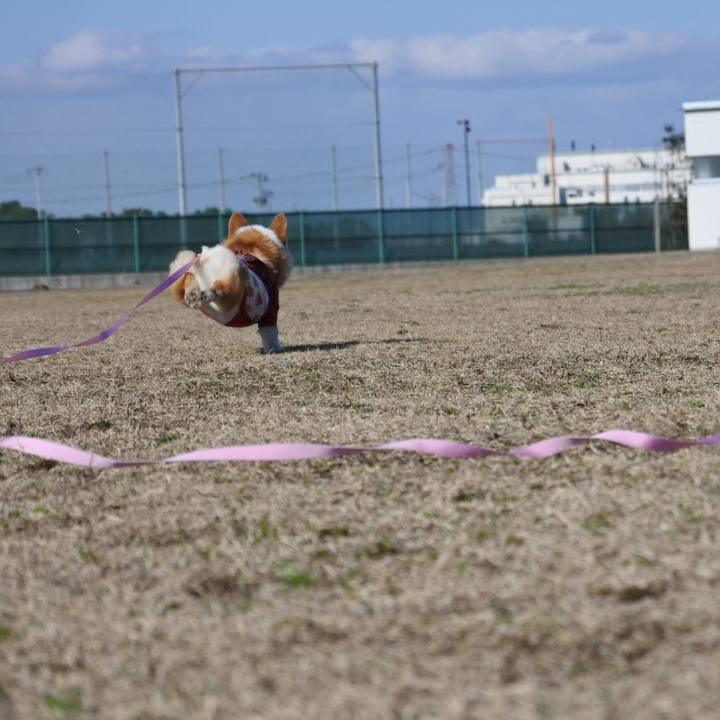 4e12e036 3bc0 4b5e 973a 1608306f0bd1 1584282048814