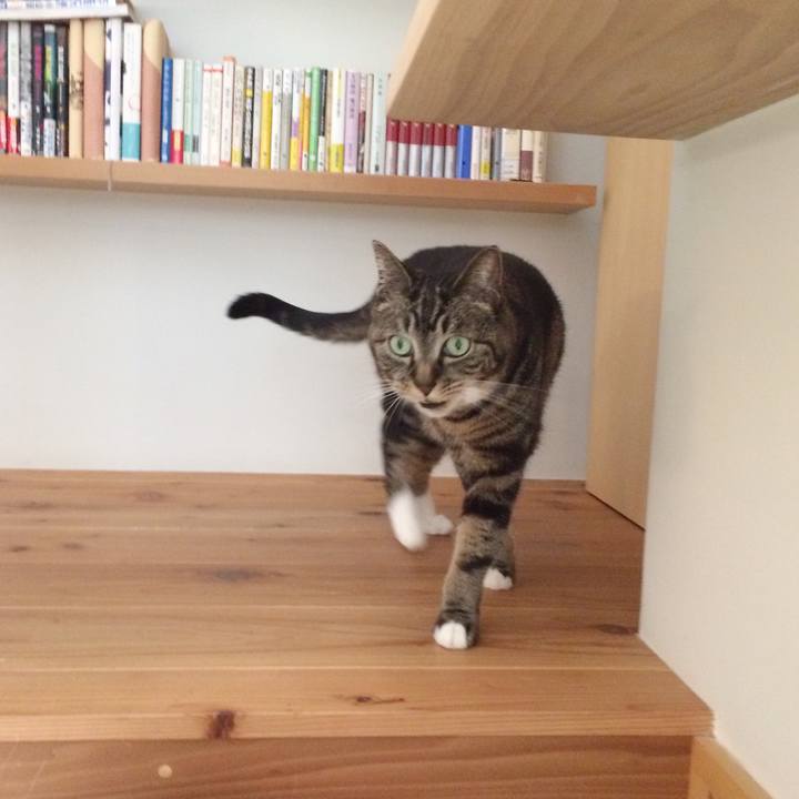 4e12f2a1 d06d 46d3 9497 00a7402945ca 1526343628279