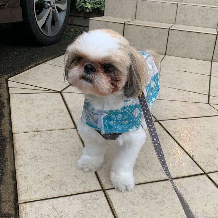 4e12fee7 3efb 45f9 889e aa48875b16cb 1593769414160