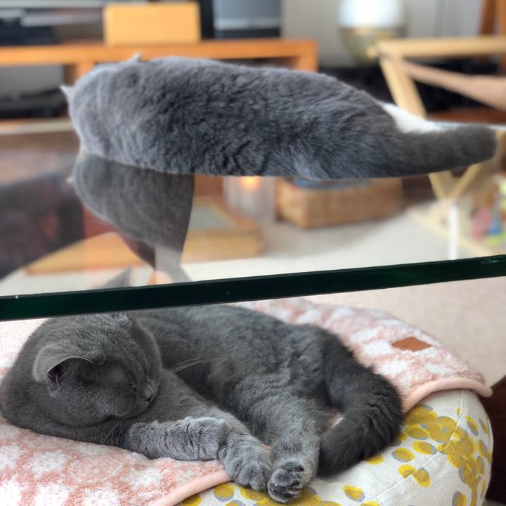 4e134889 cb49 4a20 a807 076aa89072de 1526183830847