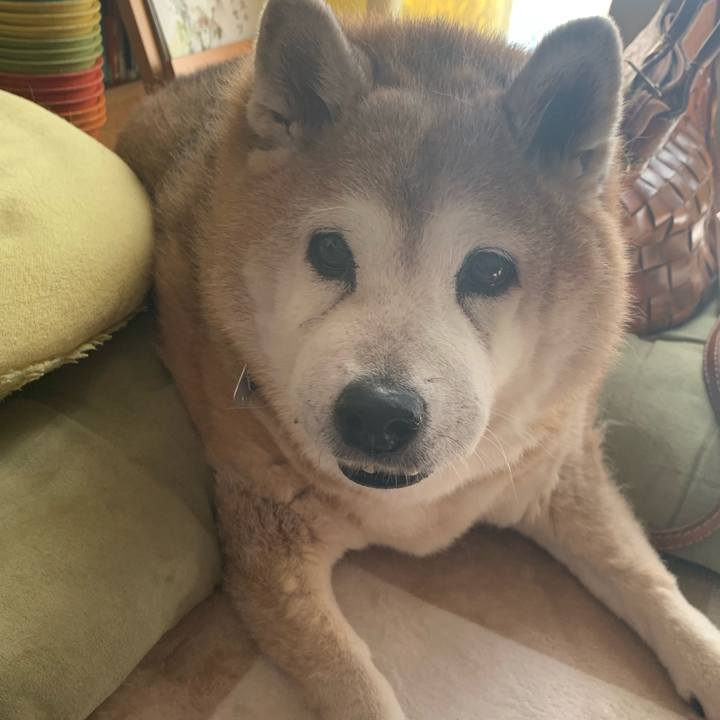 4e134cc5 e67e 43b0 96be 2f6962253d60 1632033323222