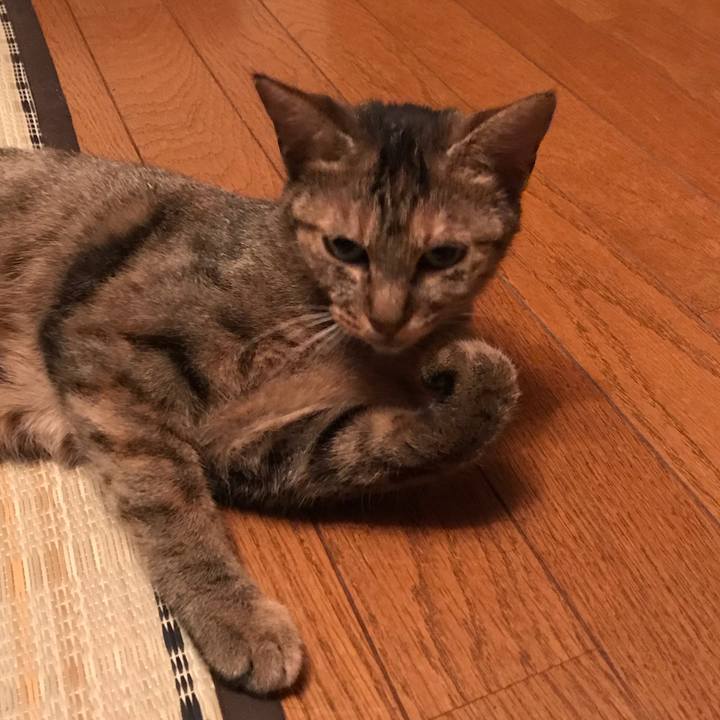 4e1358ba d1cc 4eed 9bbd cf51220b9744 1570969776735