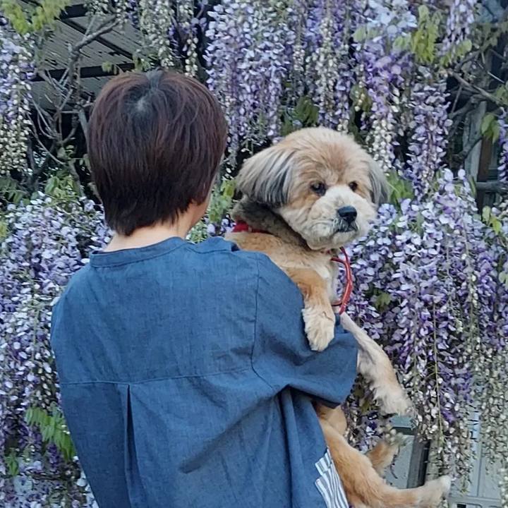 4e1369fe f07c 472a b37b 5d68c71571bf 1681088589990