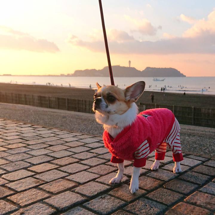 4e13700d c4a7 414e ad7a 6dd292f13dee 1578871681434