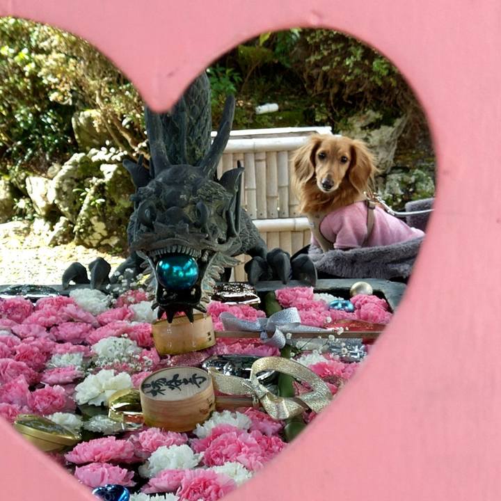 4e1374e2 5e80 4feb 9de6 61d7d32ea29d 1676453987984