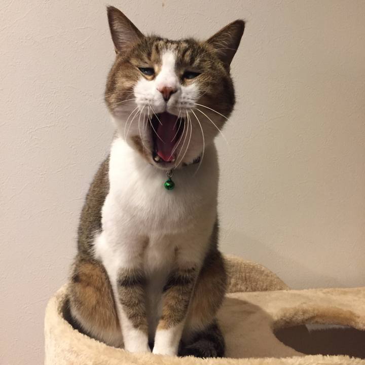 4e137d4c 5527 432f 8e5a f7e54acb34ab 1517531390579