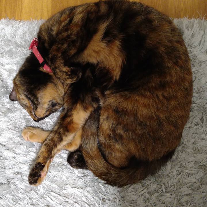 4e1380cb 52c0 4a04 a815 9d1c5109036a 1620826463749