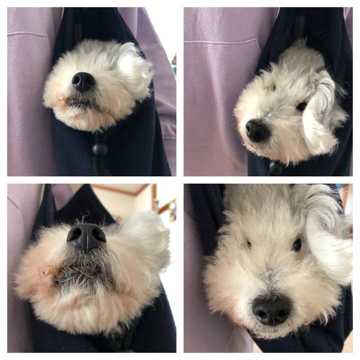 4e13894d 5526 402b 906b 1069a824750b 1635688886259