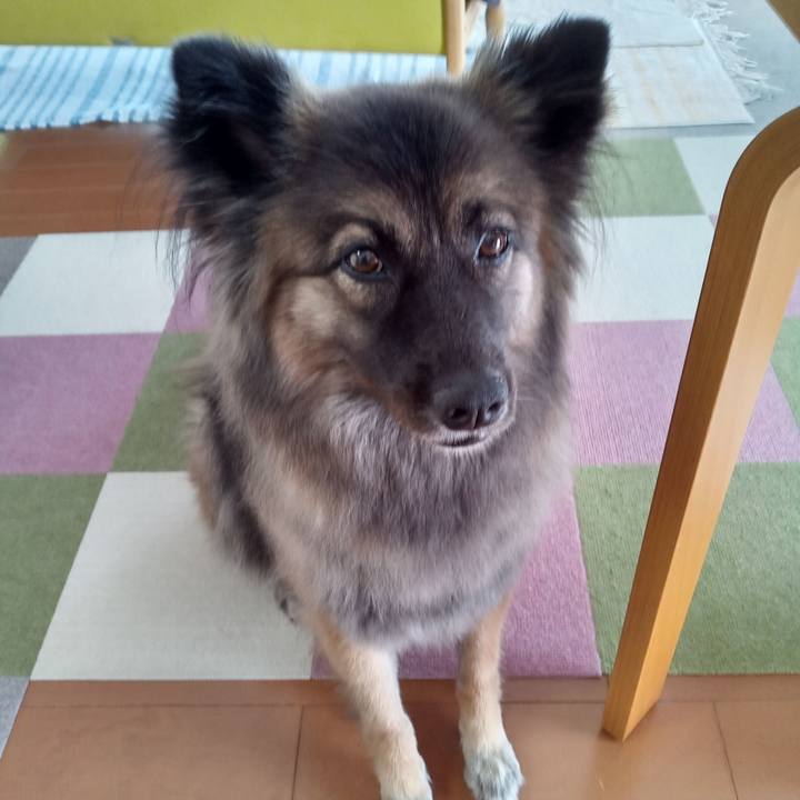 4e139d55 a6b0 448d a4ed c830ff0427d9 1760235588923