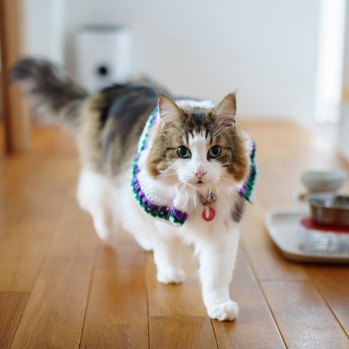 4e13a20e ce39 4290 85ed 6836d7f29ccb 1708577060695