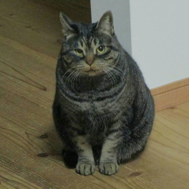 4e13ade2 5571 4653 b237 271c20a3a636 1512704685933