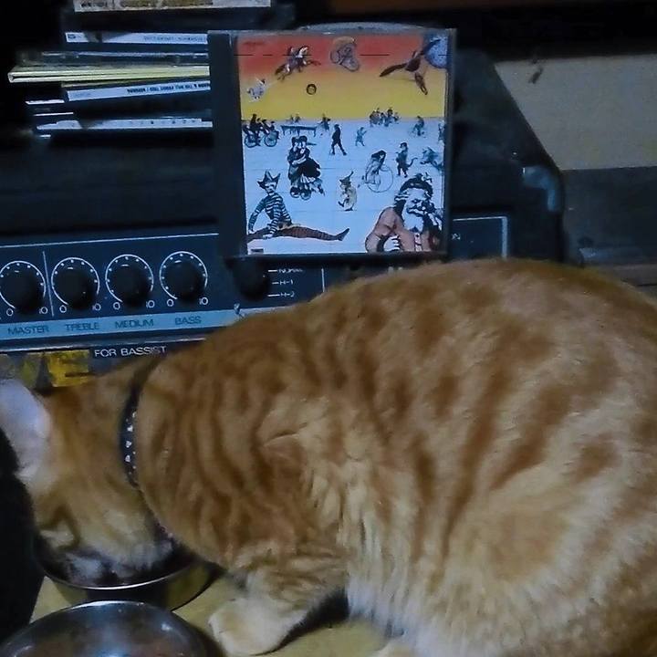 4e13c28d 156a 4aa5 99d4 38f0a3c265d7 1644928861535