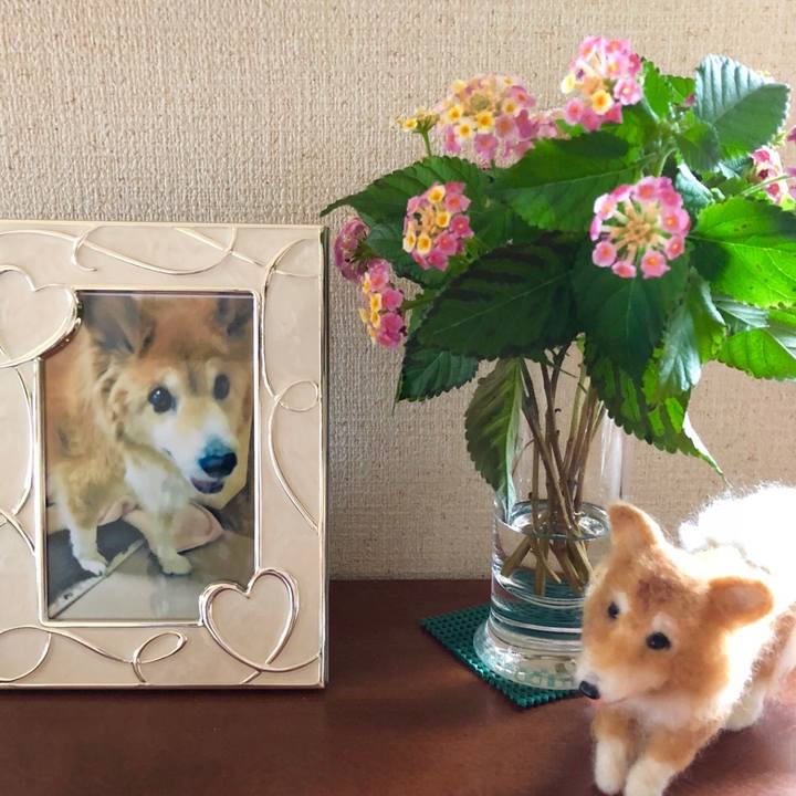 4e13ff2f ca36 4e65 ad42 7951c96b06f9 1537692857972