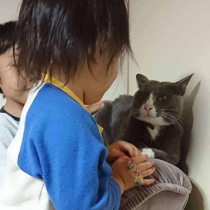 4e1419b9 d8f9 4160 b621 2571fed9a0df 1510566548770