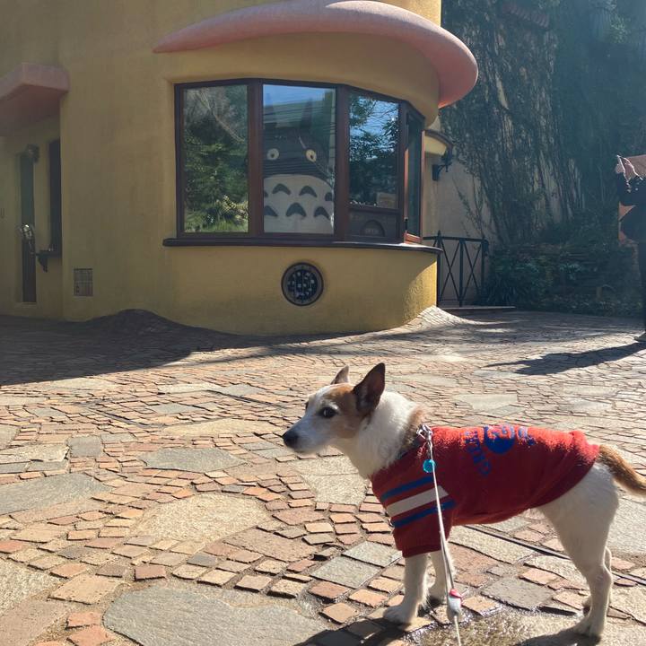 4e1440b9 be00 491e a6da 2c2b89aab958 1674347533391