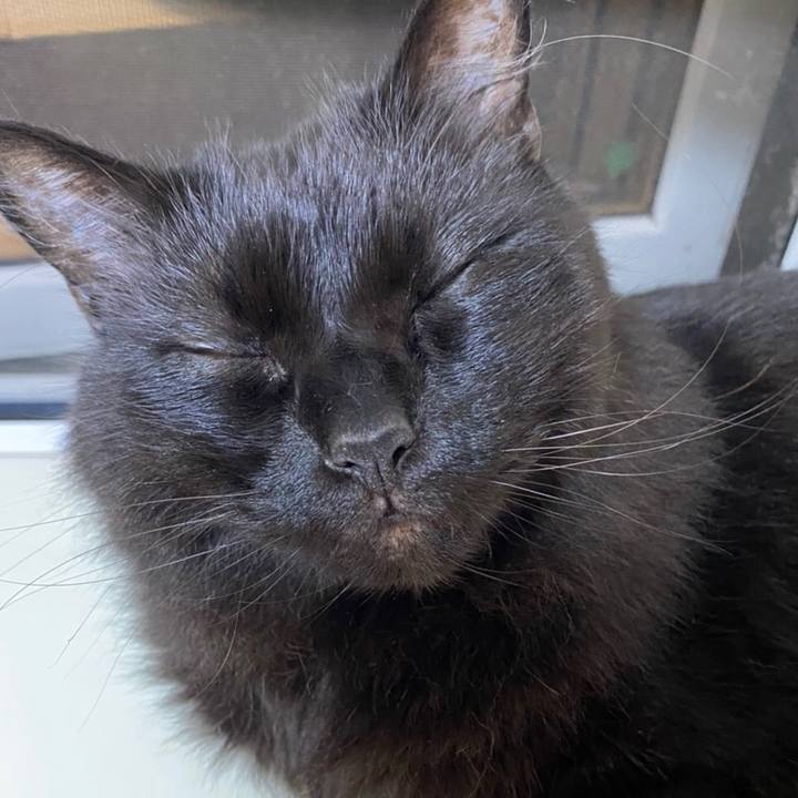 4e146dc8 ec16 4e9a 9abd 971629c74ec4 1596942592077