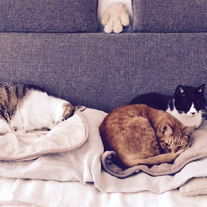 4e1478d0 c4b6 4529 856e befd6c2a9b80 1560139734260