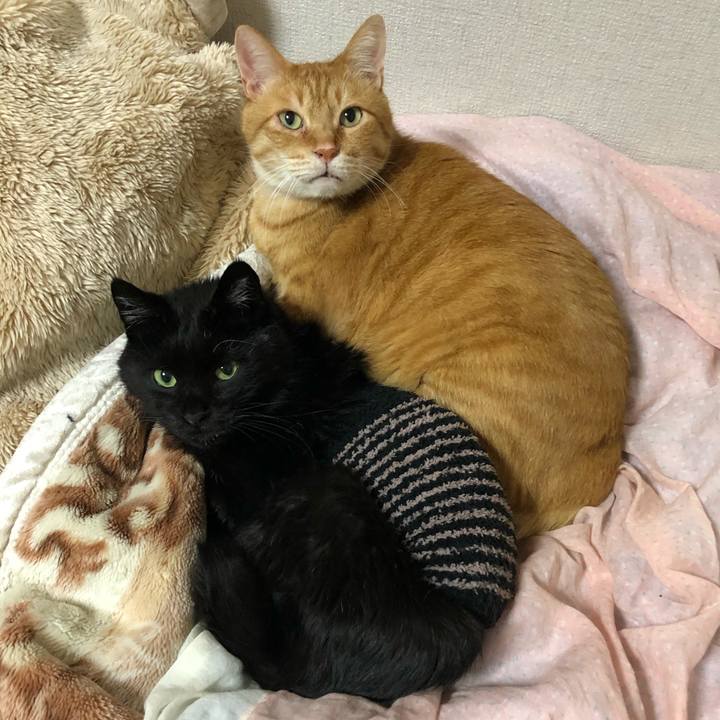 4e14947b 98ef 470a 83cf d98dbf7cc2cc 1638356861732