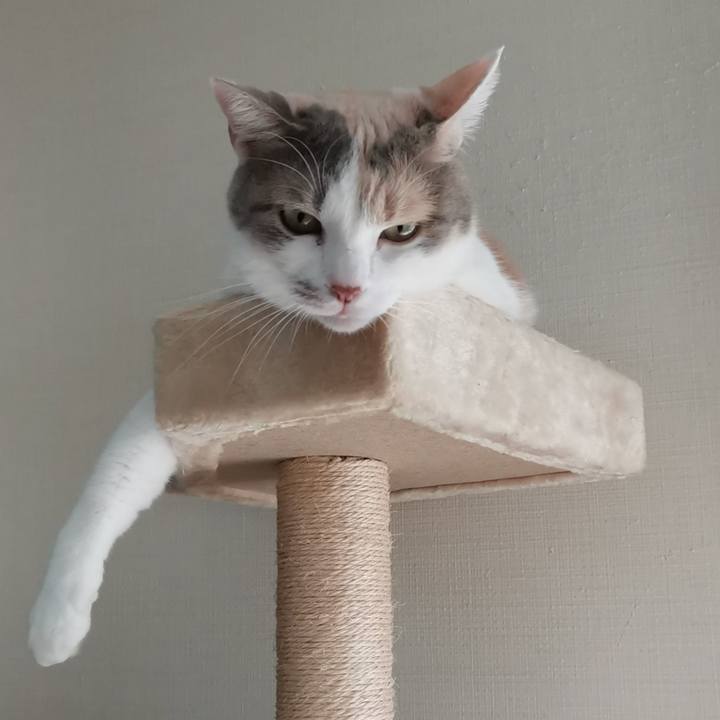 4e14ab0e 1b44 41c9 85f9 20bdef1ea744 1632128865415