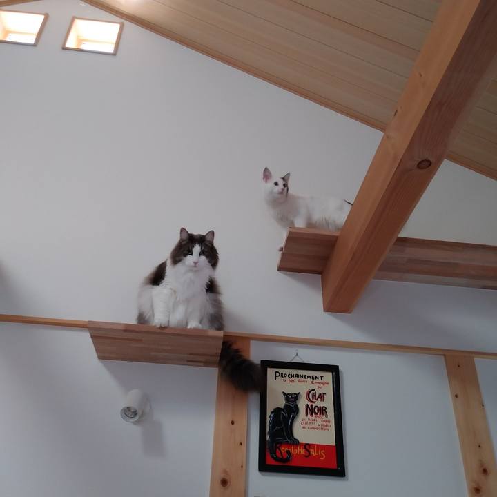 4e14af74 6342 46a2 be57 ec3721758b73 1760851479840